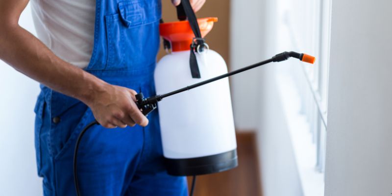 Como fazer dedetização em casa em Uberlândia