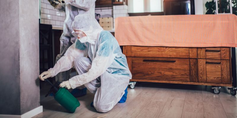 Dedetização em Apartamento Como Funciona em Uberlândia: Confira 4 Passos
